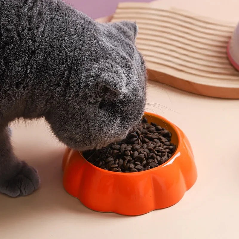 Fruit themed ceramic pet bowls