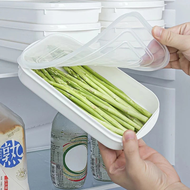 Japanese freeze boxes